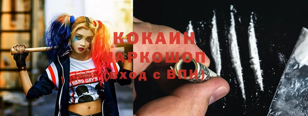 дмт Абаза