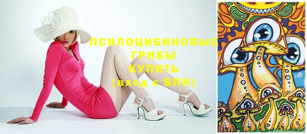 спайс Алексин