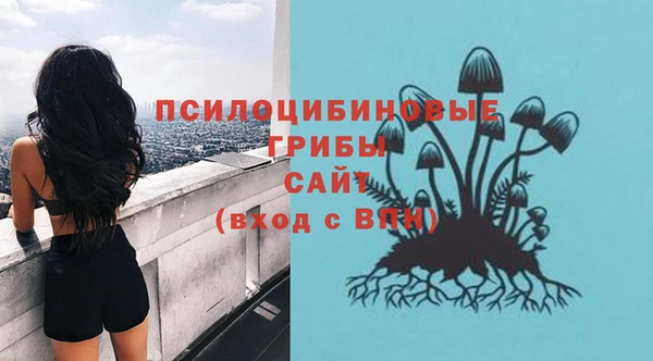 apvp Абинск