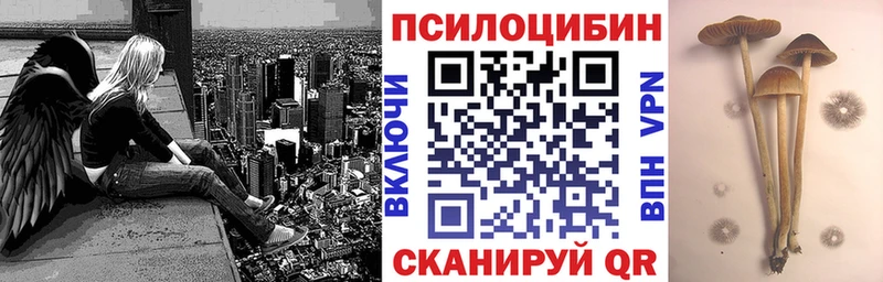 mega ссылка  Магадан  Галлюциногенные грибы MAGIC MUSHROOMS 